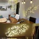fs7wt_512.webp